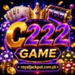 C222 Game