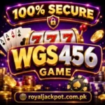 WGS456 Game