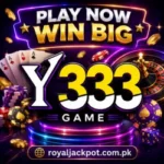 Y333 Game
